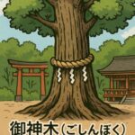 御神木の木の種類とは？杉・檜・楠など神社で祀られる神聖な木々の意味を解説
