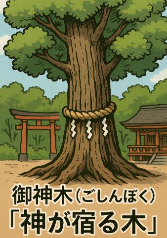 御神木の木の種類とは?杉・檜・楠など神社で祀られる神聖な木々の意味を解説