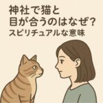 神社で猫と目が合うのはなぜ？スピリチュアルな意味と考察まとめ
