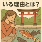 神社の池に鯉がいる理由とは？スピリチュアルな意味と運気アップのサインを探る